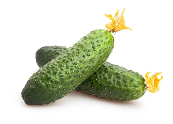 Heap of fresh cucumbers — Stock Photo, Image