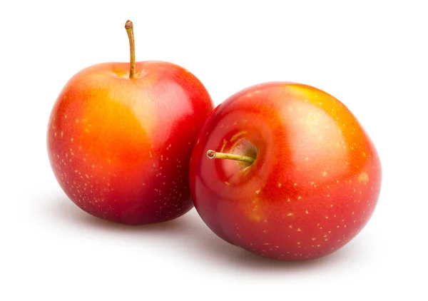 Red fresh plums — Stock Photo, Image