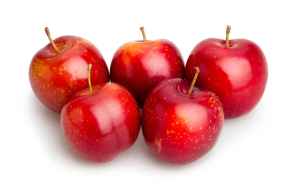 Red fresh plums — Stock Photo, Image