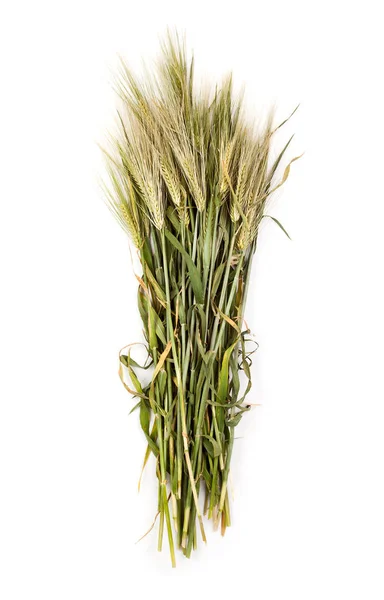 Stack of raw wheat — Stock Photo, Image