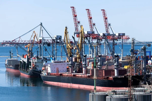 Förtöjda bulkfartyg — Stockfoto