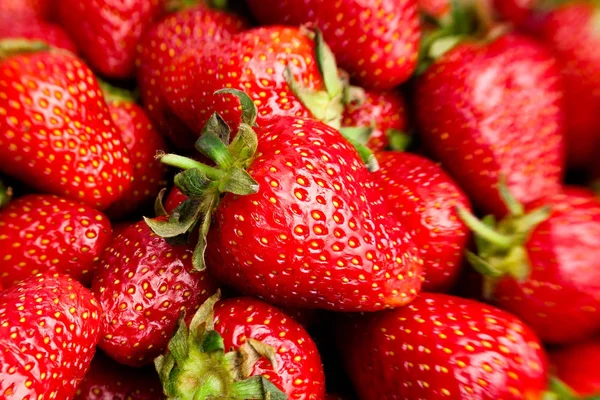 Detalle de fresas maduras —  Fotos de Stock