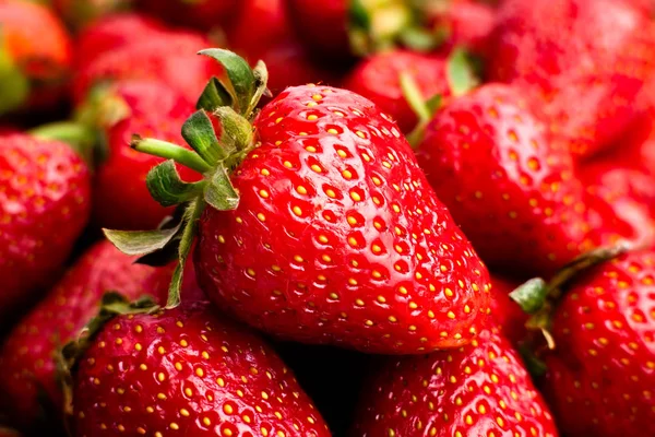 Détail de fraises mûres — Photo