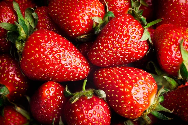 Detalle de fresas maduras —  Fotos de Stock