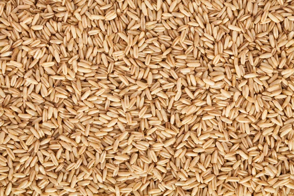 Closeup of oat seeds — Stock Photo, Image