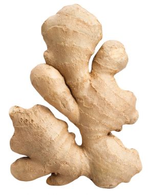 fresh ginger root clipart