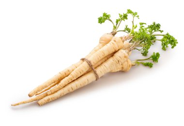 taze maydanoz kökleri