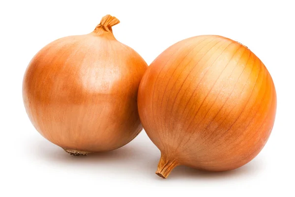 Fresh spanish onions — Stock Photo, Image