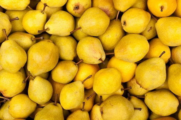Peras amarillas maduras — Foto de Stock