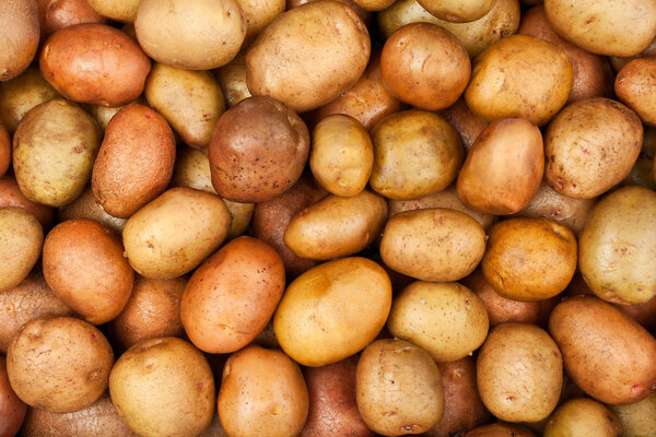 fresh potatoes texture