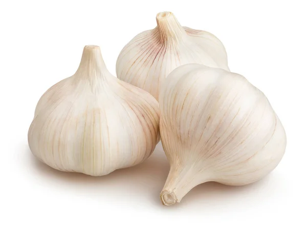 Friss garlics fehér — Stock Fotó