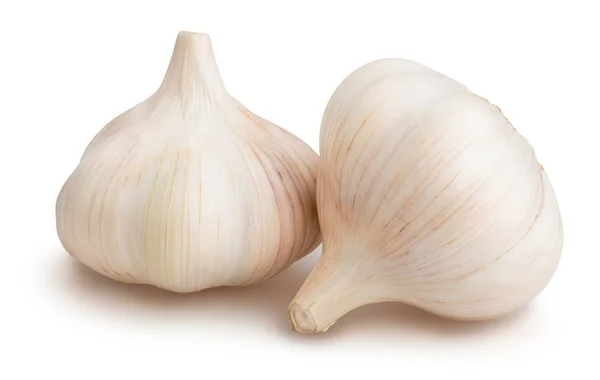 Garlics fresco su bianco — Foto Stock