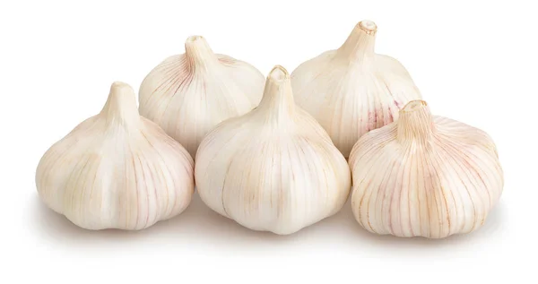 Garlics fresco su bianco — Foto Stock