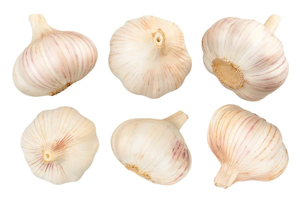 Fresh garlics on white — Stock Photo, Image