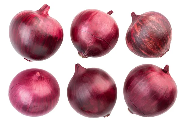 Conjunto de cebollas rojas —  Fotos de Stock