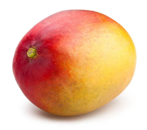 Mango fresco maduro — Foto de Stock