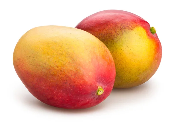 Frische reife Mangos — Stockfoto