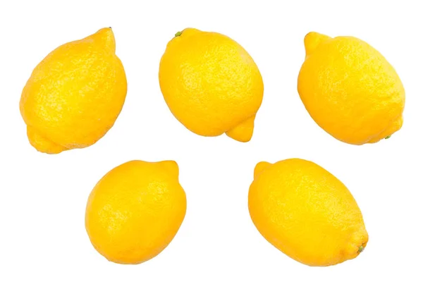 배경에 레몬의 — 스톡 사진