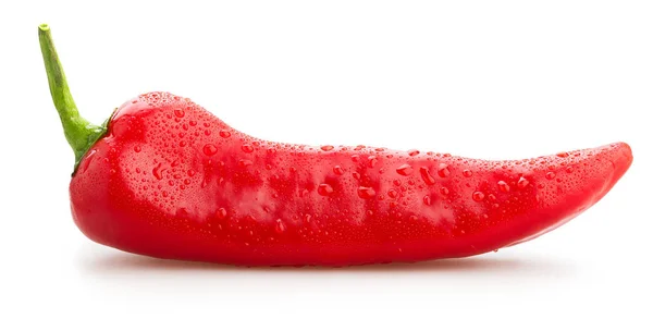 Ein Roter Paprika Isoliert Auf Weißem Hintergrund — Stockfoto