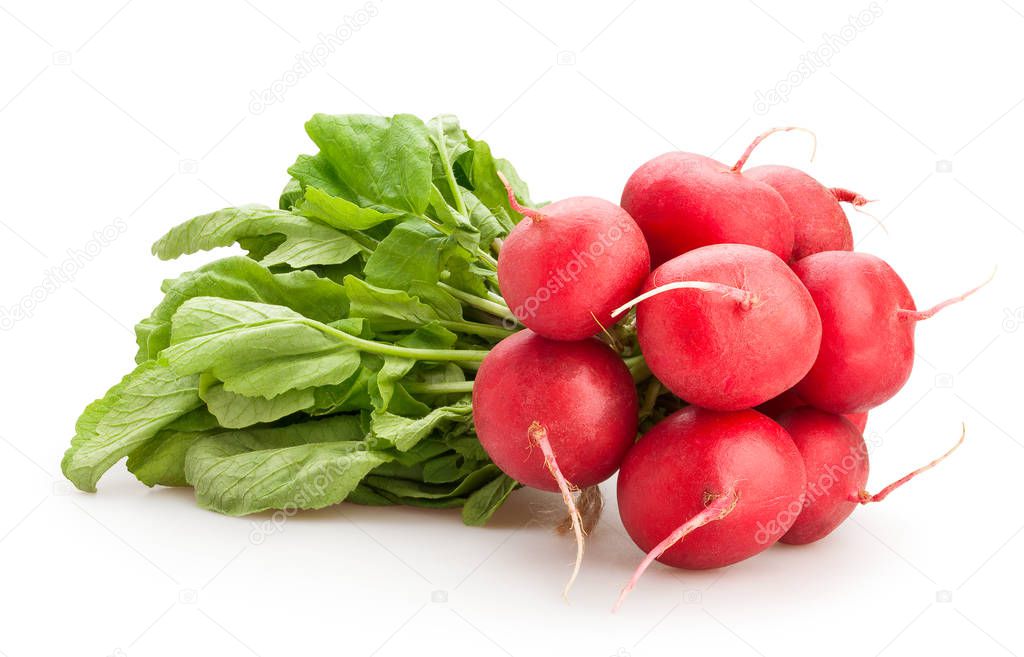 radish bunch isolated on white background