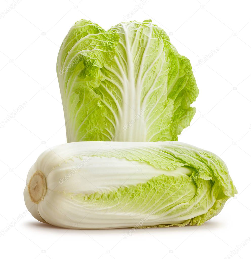 Chinese cabbages on white background