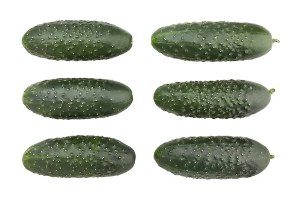 Cucumber — Stock Photo, Image