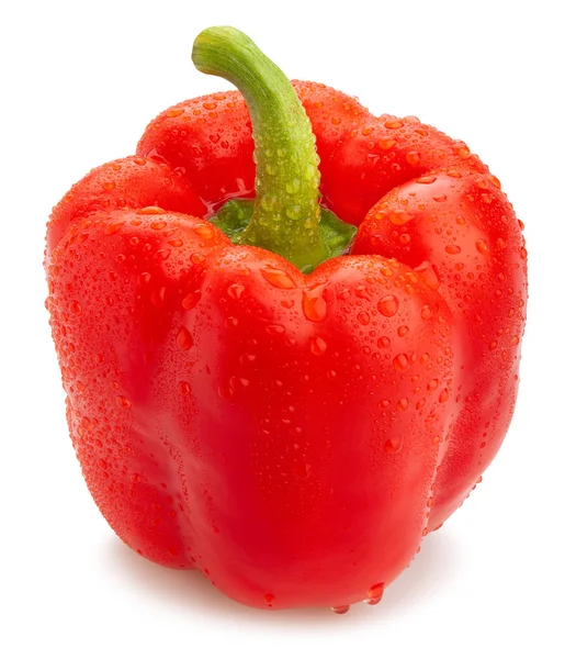 Paprika — Stockfoto