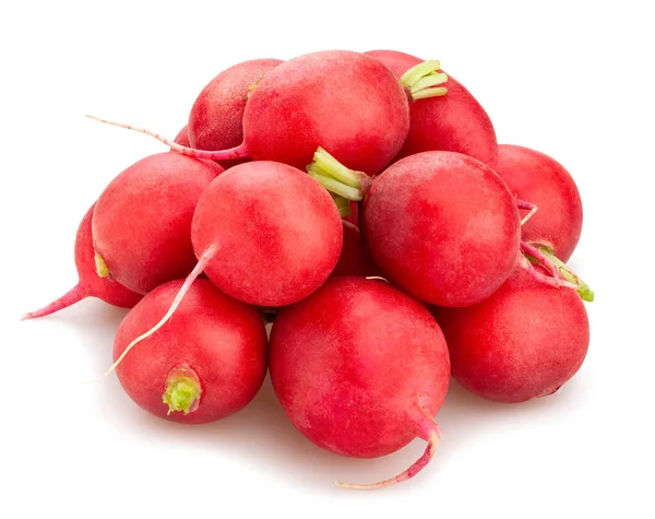 Radish — Stock Photo, Image