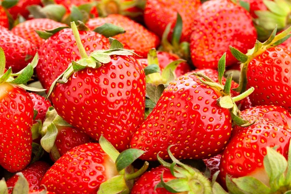 Strawberry — Stock Photo, Image