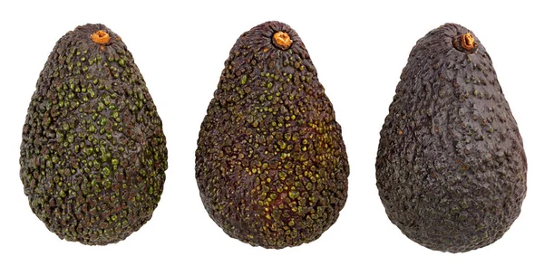 Hass avocado — Stockfoto