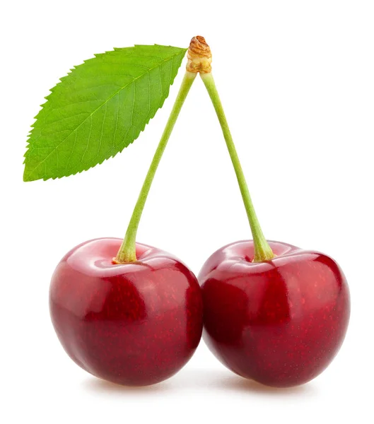 Cherry — Stock Photo, Image