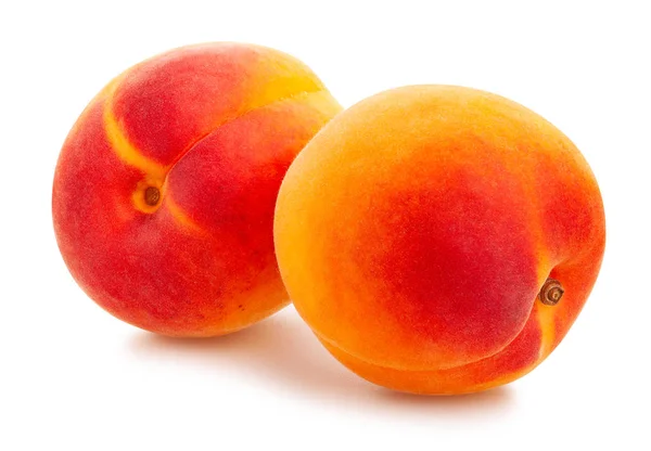 Apricot — Stock Photo, Image