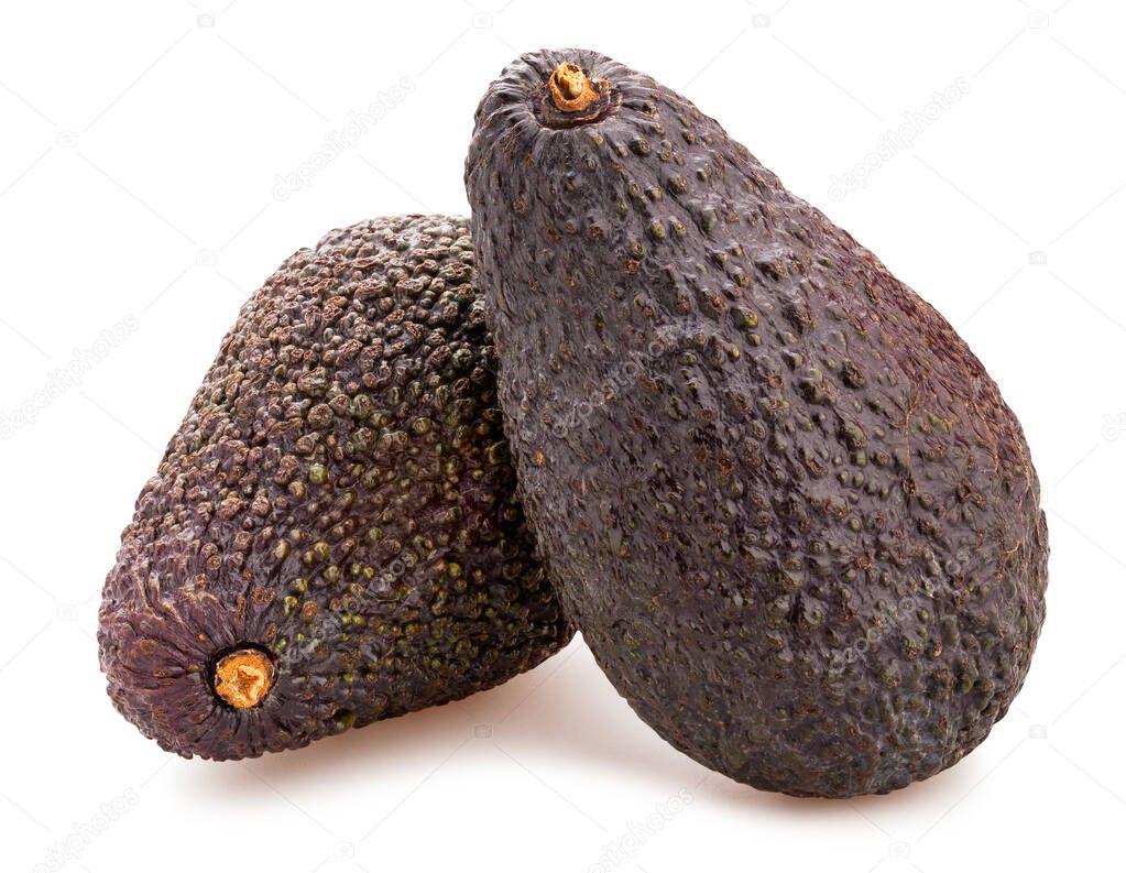 hass avocado