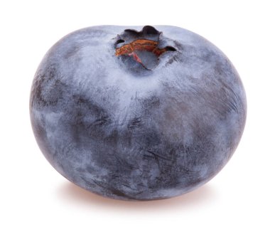 yaban mersini yolu beyazda izole edildi