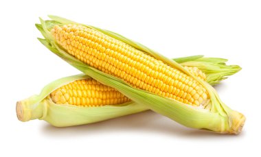 mısır yolu beyaz üzerinde izole