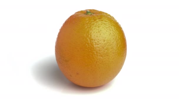 Oranje Fruit Geïsoleerd Witte Achtergrond — Stockvideo