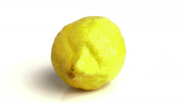 Lemon Isolated White Background — Stock Video