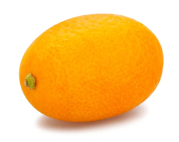 Kumquat Väg Isolerad Vit — Stockfoto
