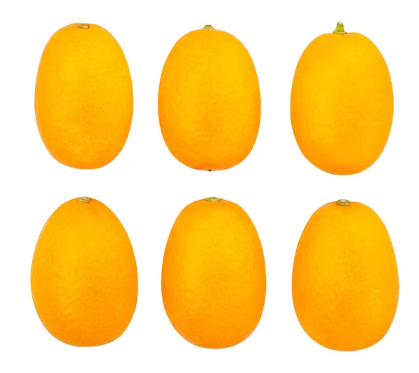 Kumquat Väg Isolerad Vit — Stockfoto