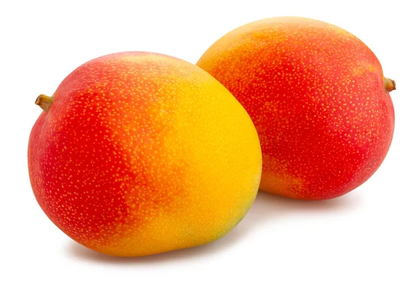 Mango Pfad Isoliert Auf Weiß — Stockfoto