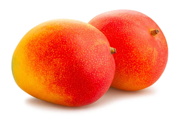Mango Pad Geïsoleerd Wit — Stockfoto