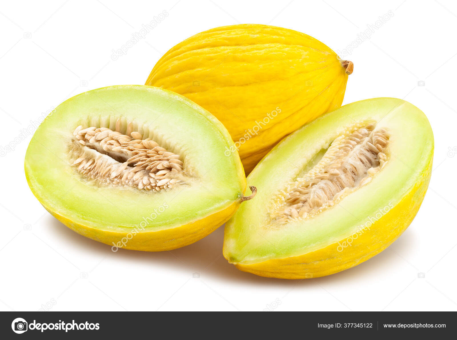Honey Dew Green Melon (Cucumis melo) – MySeedsCo