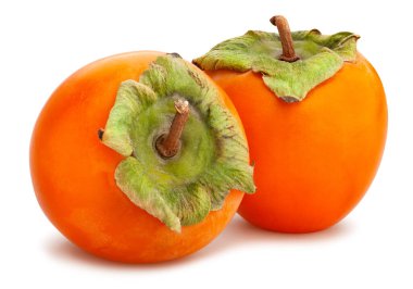 hurma yolu beyazda izole edildi