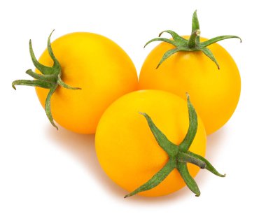 Sarı kiraz domates yolu izole edildi.