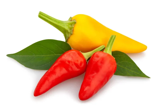 Colorful Chilli Pepper Path Isolated — Stock Photo, Image