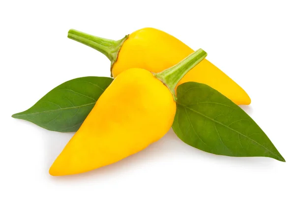 Gele Chili Peper Pad Geïsoleerd — Stockfoto