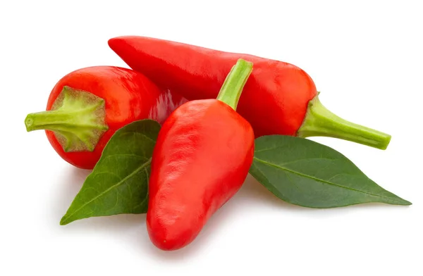 Rode Chili Peper Pad Geïsoleerd — Stockfoto
