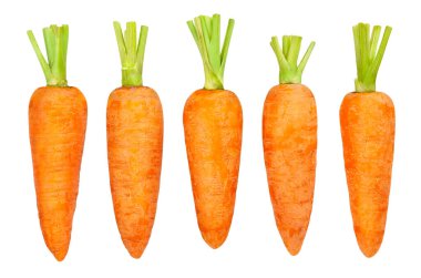 Havuç yolu beyaz üzerinde izole