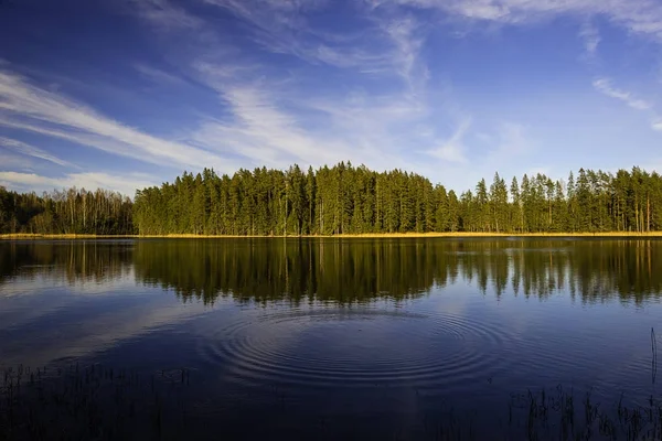 Lake with cloud and reflections in Springtime. — Stock Photo, Image