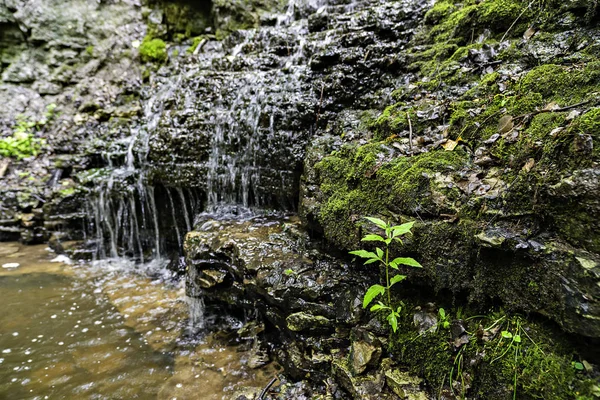 Virsaisu waterfall in Latvia.Baltic States. — Stock Photo, Image